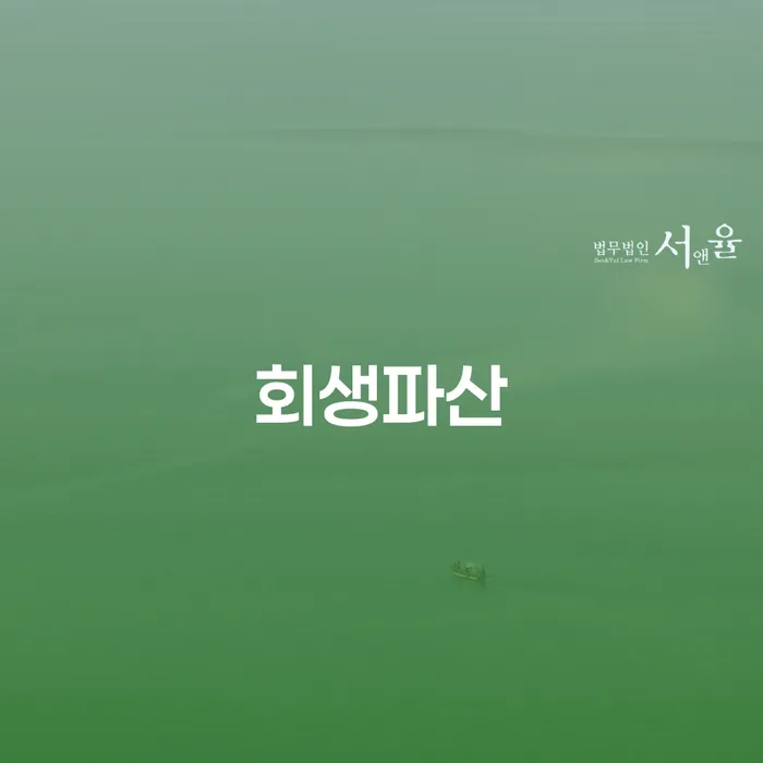 보험설계사개인회생 개인회생,개인파산으로 확실한 진행
